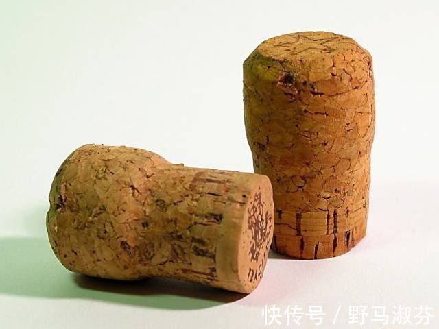 把肥皂放在矿泉水瓶盖上,第二天奇迹发生了