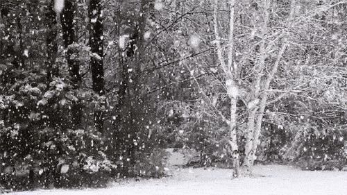  冬日|冬日听雪，一片雪花落在手，十首听雪诗词，感受古人诗意的冬天！