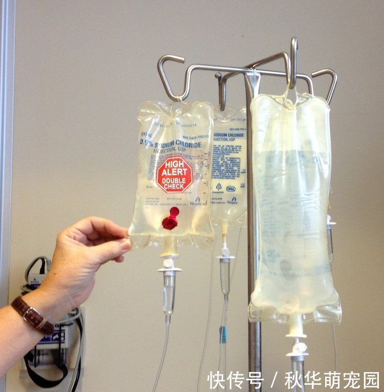 肿瘤医生|化疗后,患者的身体更差了?肿瘤医生不再隐瞒:4类患者不要化疗