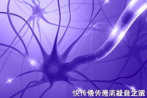 神经酸|脑龄测试:获得分数越高越好,超过25分的大脑很聪颖