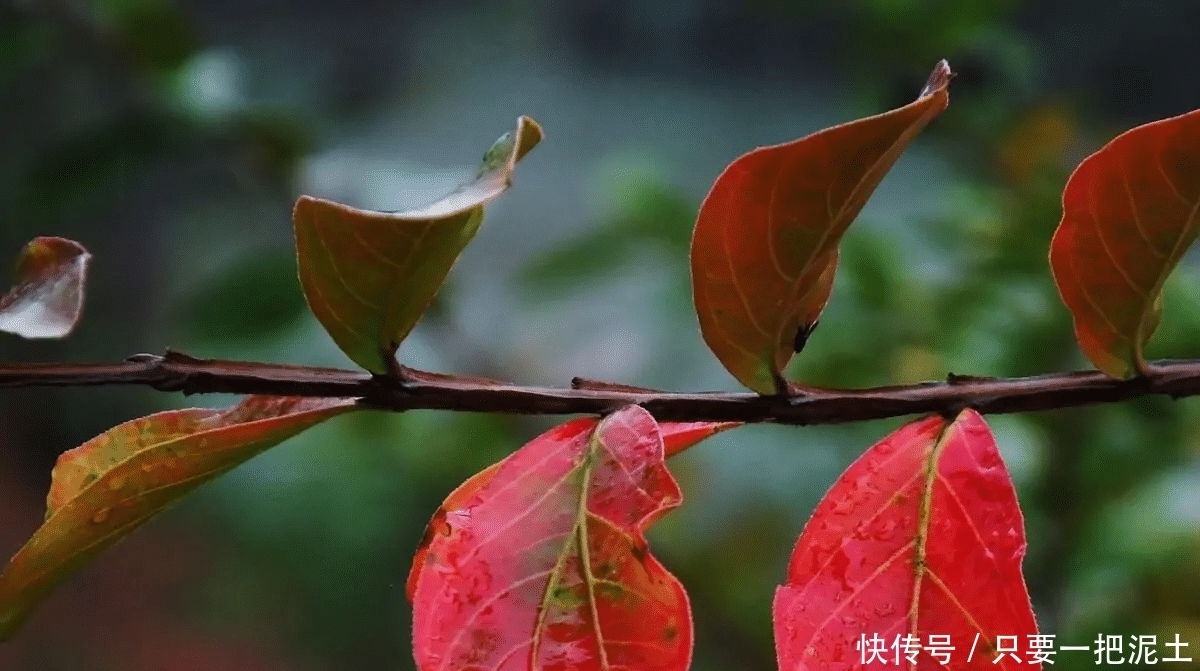 远离“养不熟”的人,距离是对自身的保护!