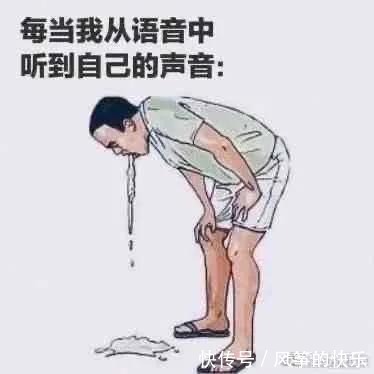 |搞笑图片集:每当从语音中听到自己的声音……