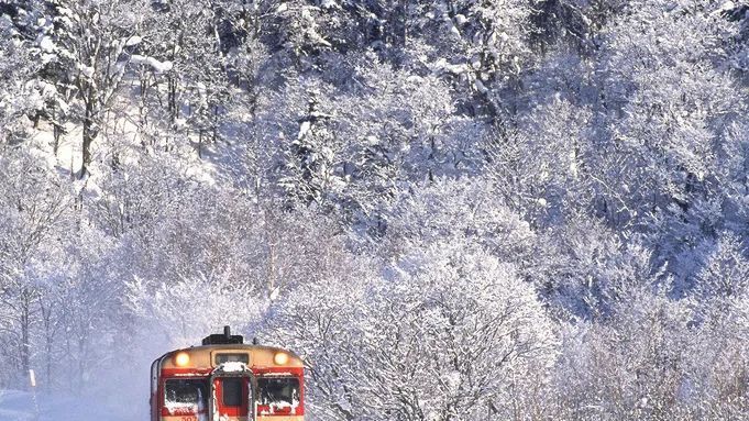  今日|今日大雪｜岁暮阴阳催短景，天涯霜雪霁寒宵