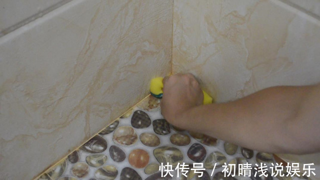 卫生间潮湿,会有很多小飞虫,大家有什么妙招可以解决?