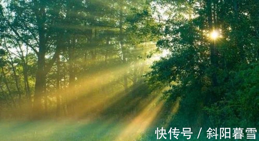 诗人&诗词:风光似水几人识,日落满林寻丹丘