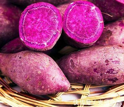 红薯、紫薯、马铃薯,哪一种营养价值更高文章中告诉你答案