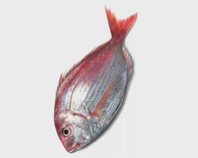 国画@三人挑战画鱼,齐白石的最简单最贵,画得最复杂的却没有人要