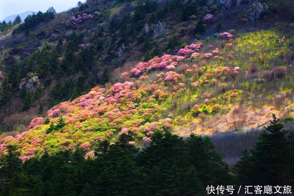 厦门|8个国内五月最美的地方，别辜负了这么美的初夏！