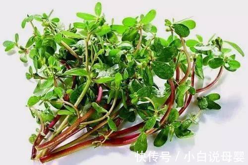 外痔|痔疮还真是“屁”大点事儿，几把野菜叶子就能解决它！