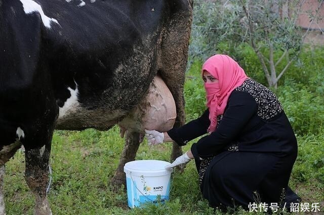 买牛奶,配料表里有“这三个字”,才是优质好奶,其余是奶味饮料