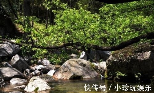 风景区|河南低调景区走红，素有“洛阳后花园”之称，距市中心179公里