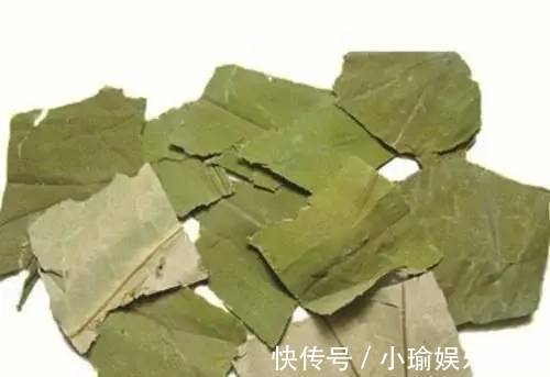 祛湿|不管湿热还是湿寒,2种祛湿食物搭配吃,湿气一排再排,一身轻