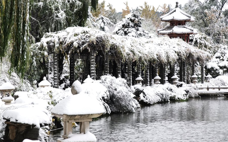 初雪中的济南南郊宾馆|镜头下 | 初雪