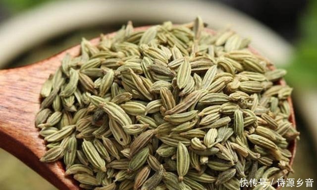 麻辣卤水|了解食材从这里开始，香料大全与用途，美食爱好者首选
