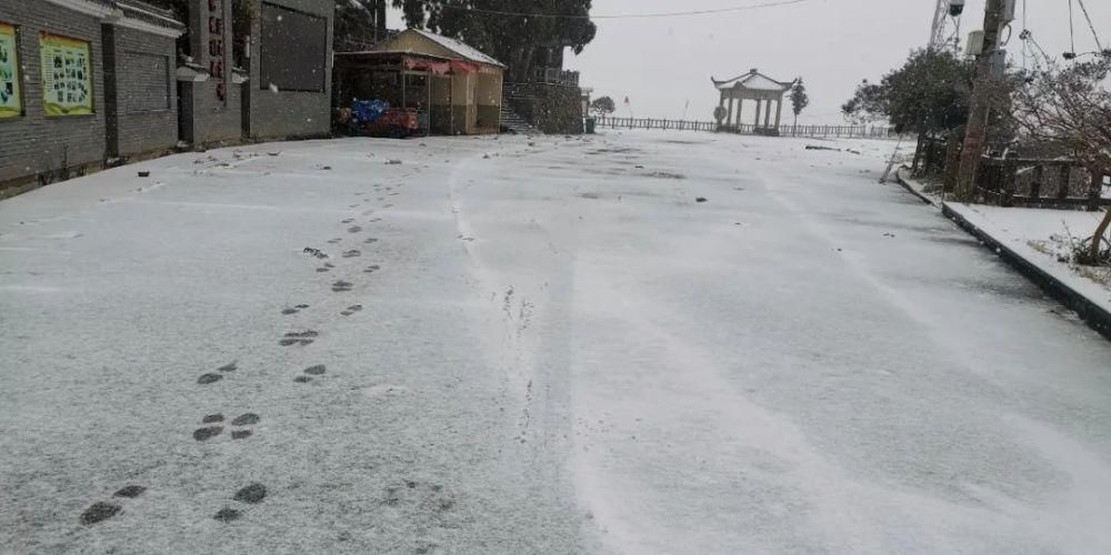 雪景|丽水这些地方下雪了，美炸了~最新雪景美图，请签收