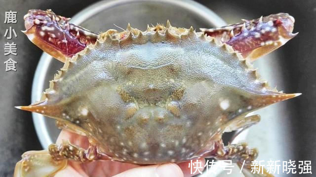 梭子蟹不会挑鱼贩教你挑蟹小技巧，保证新鲜肉肥，一挑一个准