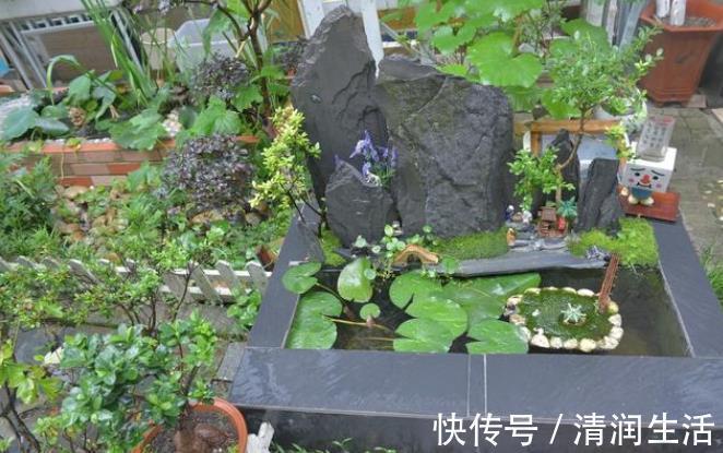 院墙|住一楼带院子的户型,做好5件事,轻松赶走潮湿