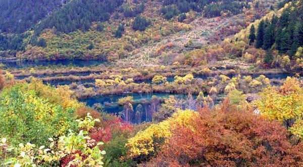 重新开放的九寨沟,还会是归来不看水,色即是秋,秋即是色吗