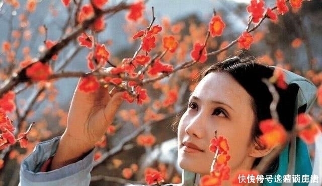 贾宝玉向妙玉乞梅，却称“费了好大的劲”，他在栊翠庵经历了什么