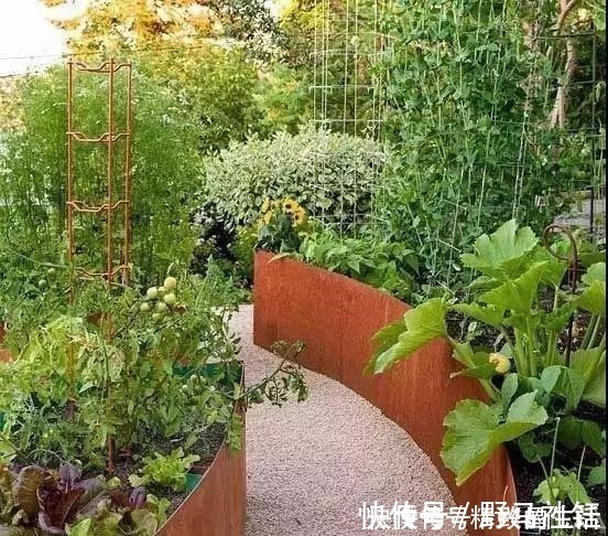 种菜|别墅院子这样设计,庭前栽花,屋后种菜,实现梦想中的田园生活!