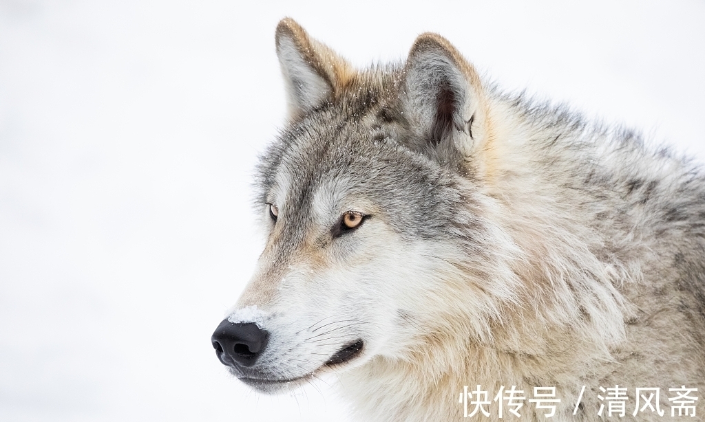 24个冷知识:或许看起来有些荒唐,但却真实存在的有趣知识