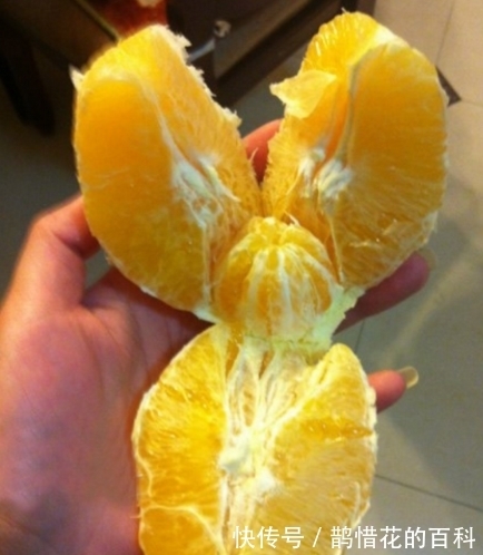 三文鱼|太喜欢老婆给我做的饭菜了。最后一图都把孩子做出来了