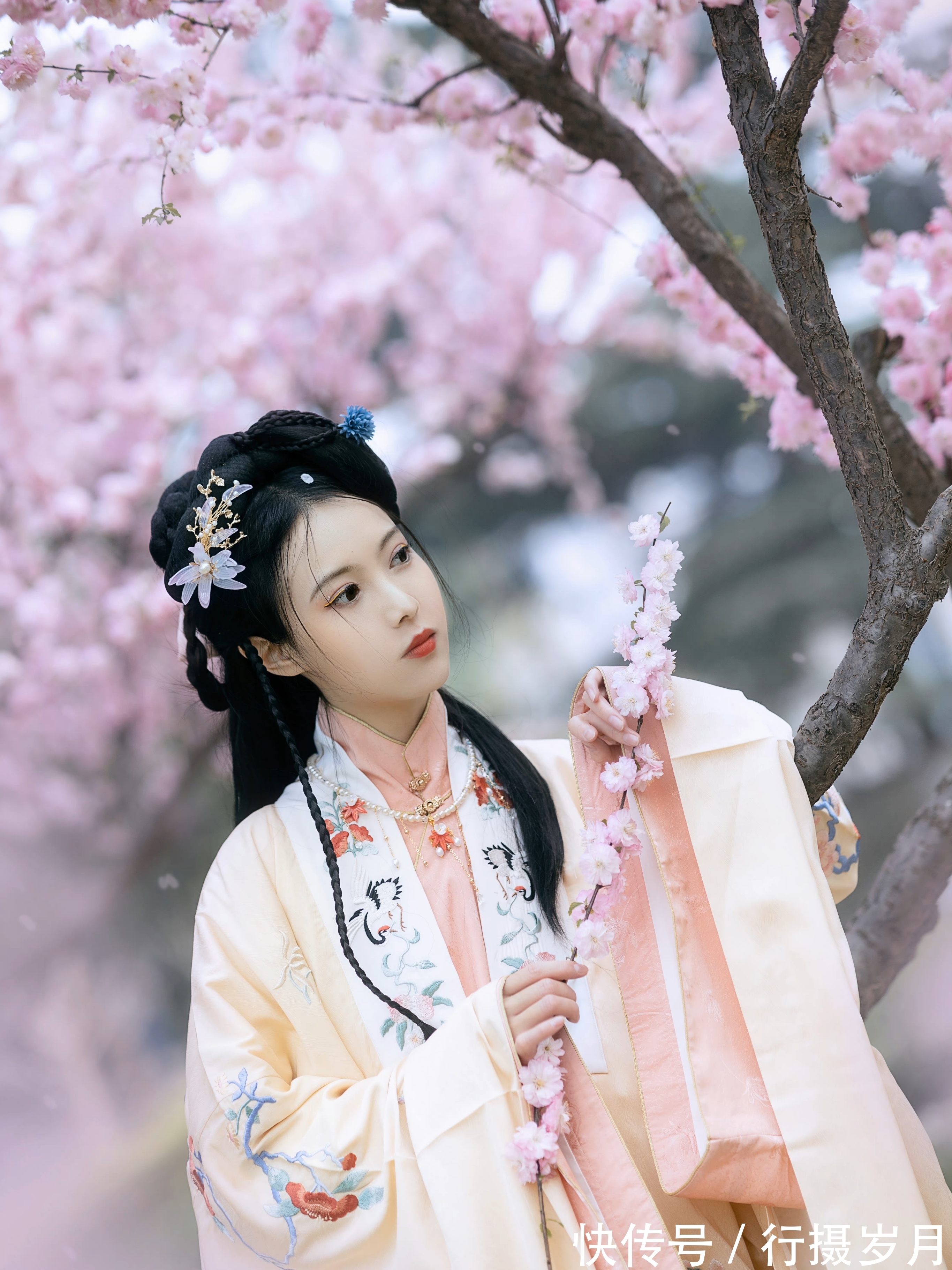 天涯！江南如梦，花似锦