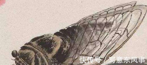 蝉#齐白石的《蝉》为何能拍出8亿天价放大40倍再看,细节决定一切!