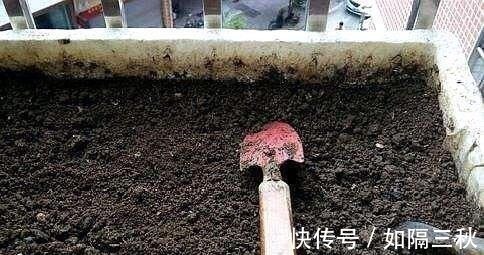 营养土|家庭养花,土从哪里来3个方法,不花一分钱,就能自制营养土了!