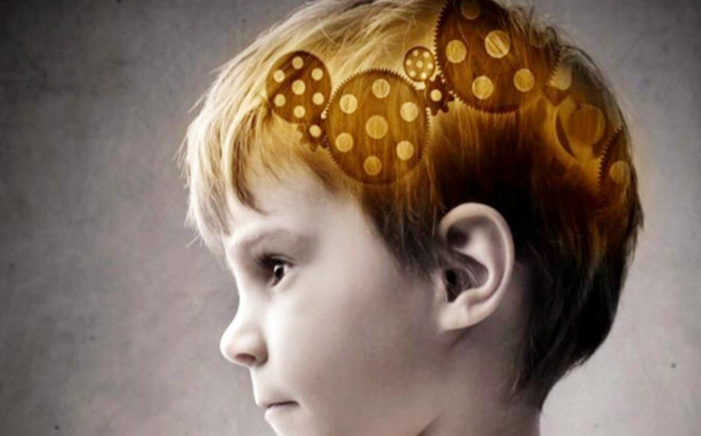 右脑|孩子一生中“变聪明”的三次机会,家长要把握住,错过则留下遗憾