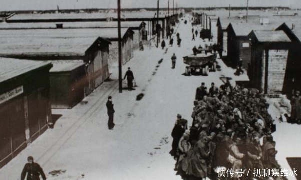 越狱|二战最悲壮的越狱：德军眼皮底下挖3条隧道，却只逃走3人