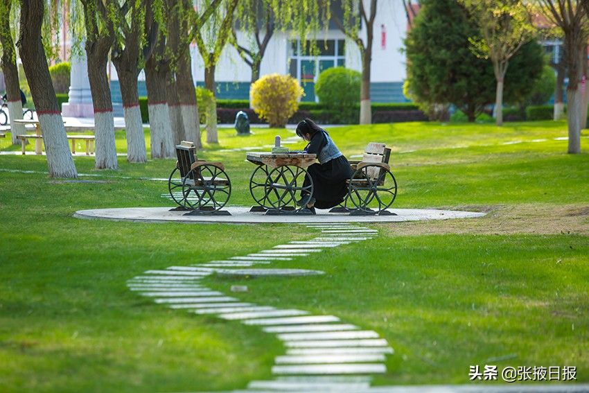 春天的河西学院，最美丽的风景处处都有视觉冲击