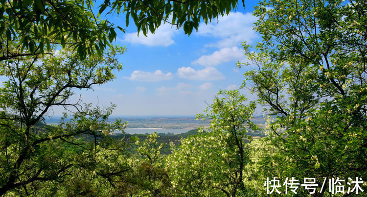 情定三生|美丽的苍马山