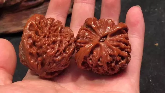 核桃|寒冬腊月,你的核桃玩成啥样了?