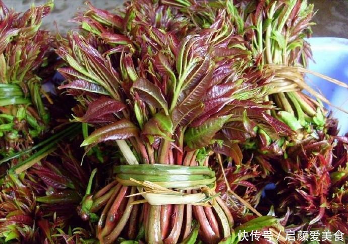 实在|家菜没有野菜香,春夏不吃这些野菜实在太不会享受了!