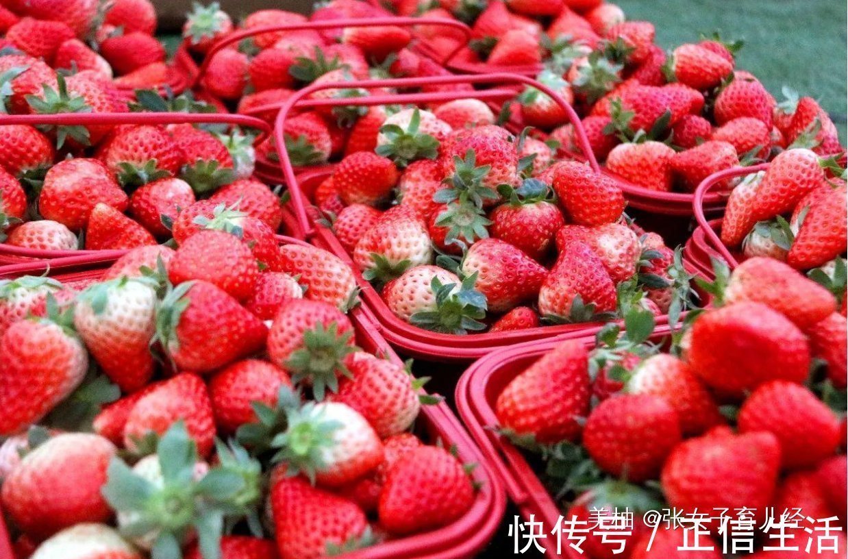 超市|2岁娃超市拿草莓吃,孩子被工作人员当“小偷”,宝妈的做法获赞