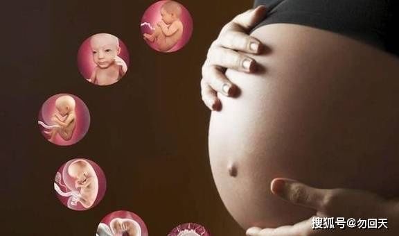 上文中|产检时胎儿偏小，或许和几个因素有关，孕妈别慌着自责