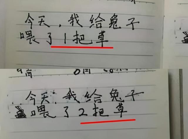 辅导作业|小学生“流水账”日记火了,强行凑字太难了,看完让人哭笑不得