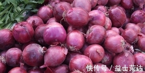 差距|洋葱到底买紫皮的还是白皮的?原来差距在这里,别再买错了