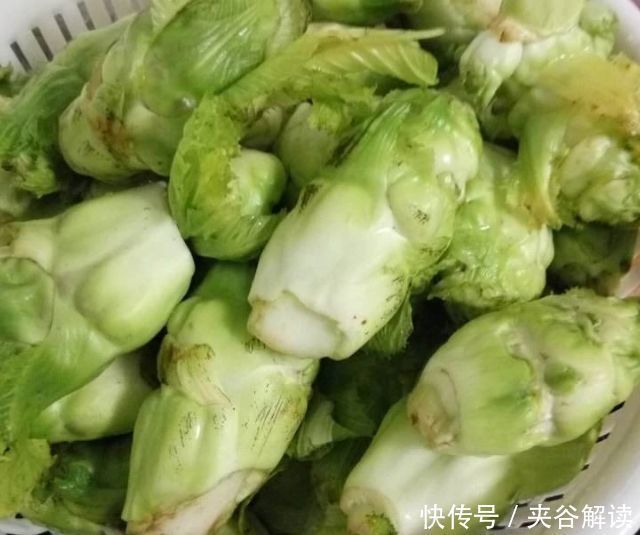 它是天然“泻药菜”，每天炒一盘，血管好，嘴巴不臭，瘦成2位数