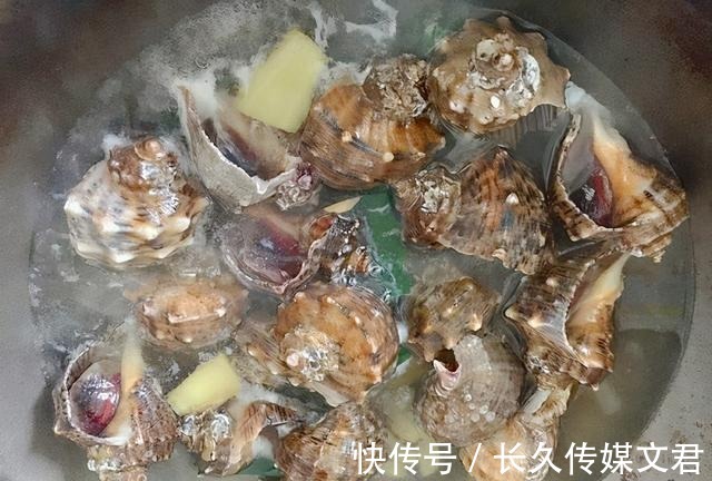 尾部|海螺的尾部到底是螺黄还是螺屎呢？很多人没弄明白，别再分不清