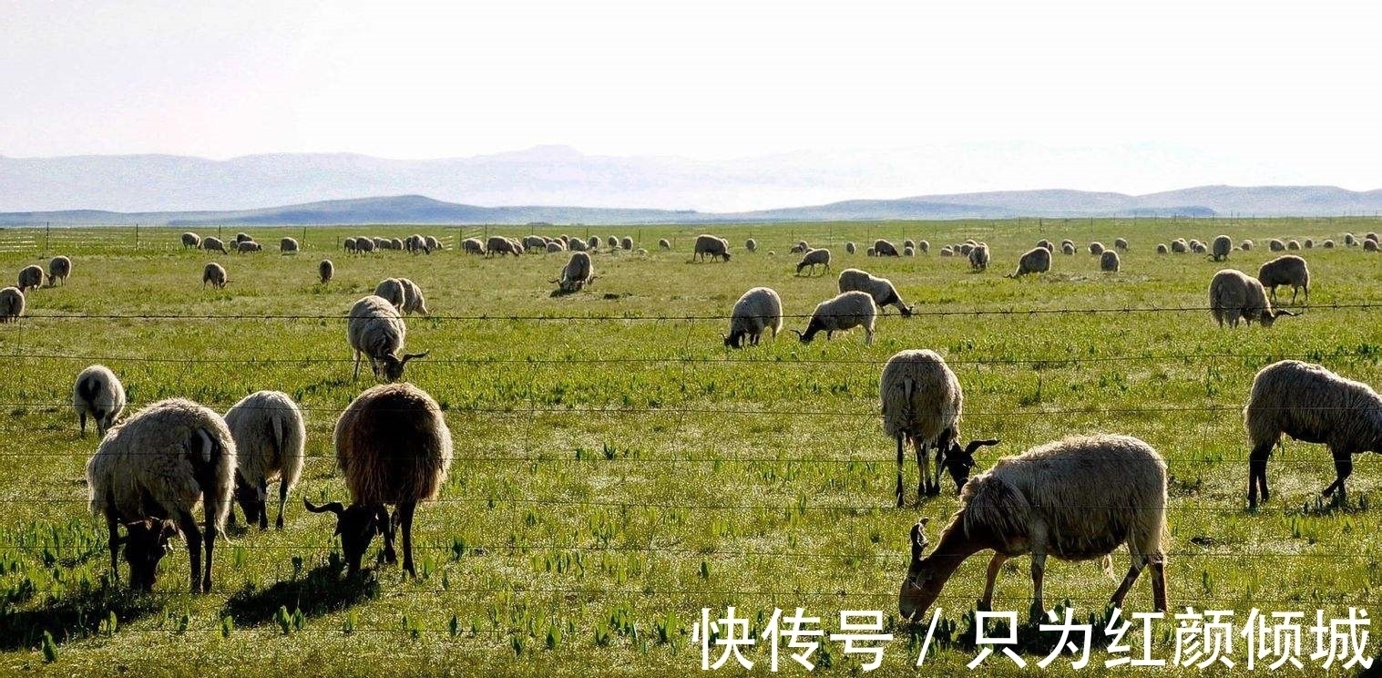 房子|马云再现预言，8年后最不值钱的房子，而是这些让人忽视的东西