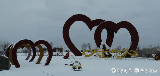 中年|泰山花海变雪中游乐园，踏雪寻梅正合时宜