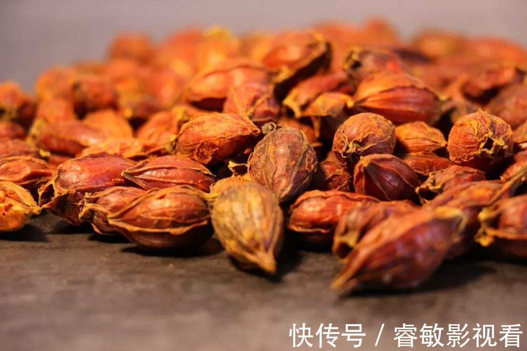 栀子|一味中药,上清心肺之火,中泻胃火,下泻肾火,疗效独特