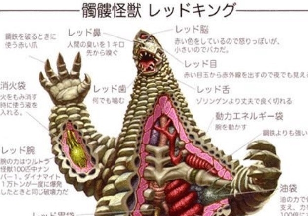 金谷桥|奥特曼怪兽身体构造图被公开,金谷桥长这样,布鲁斯设定被揭晓