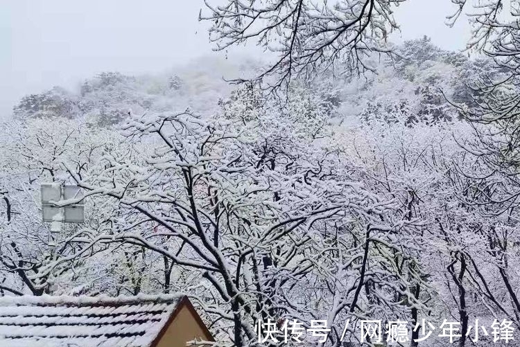 雪景$大雪节气迎瑞雪(三首)