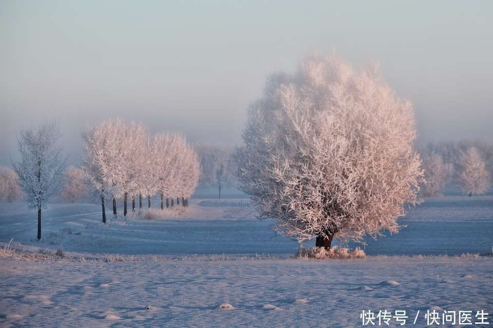冬天霧霾天氣多,對皮膚傷害大,試試這3種方法,或可改善
