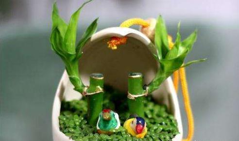 新手养富贵竹，此方法最合适，不黄叶易生根，“富贵吉祥”迎进门