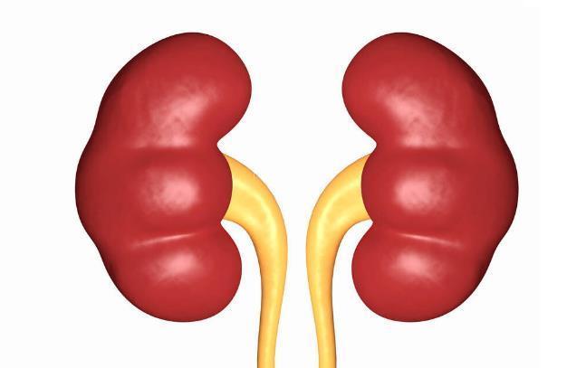 怎样减少肾病的发生?这3大元凶,肾友朋友们要警惕了