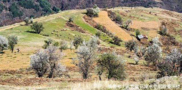  无用功|探究丨努力不一定有结果，你还会为某件事不懈努力吗